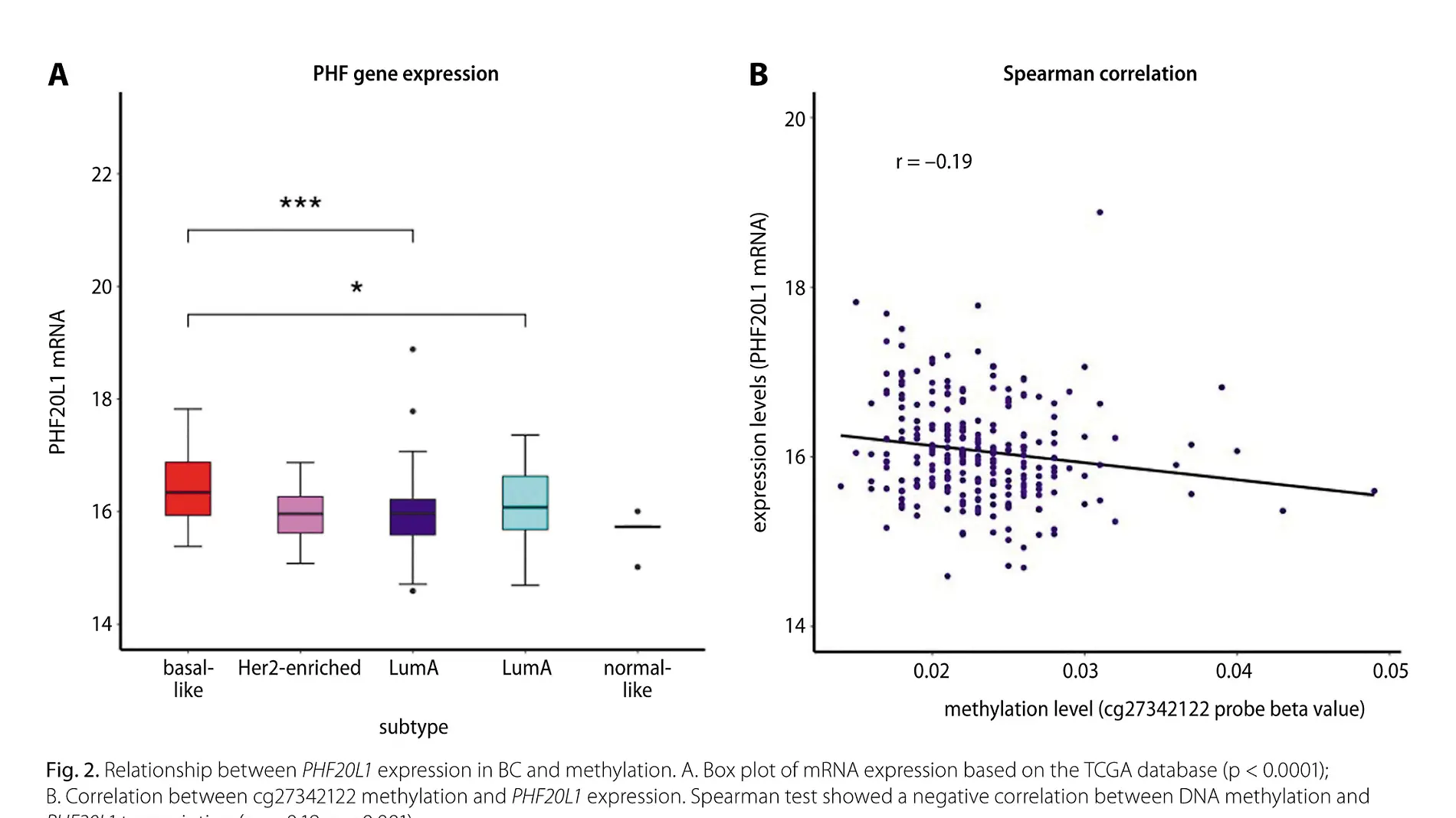 Tras este estudio en diversos tumores, descubrieron que algunos genes presentan variaciones en su patrón de metilación